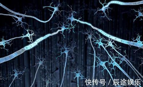 癡呆癥|一張圖就能看出你是否會患老年癡呆，花一分鐘測測看，收藏備用！