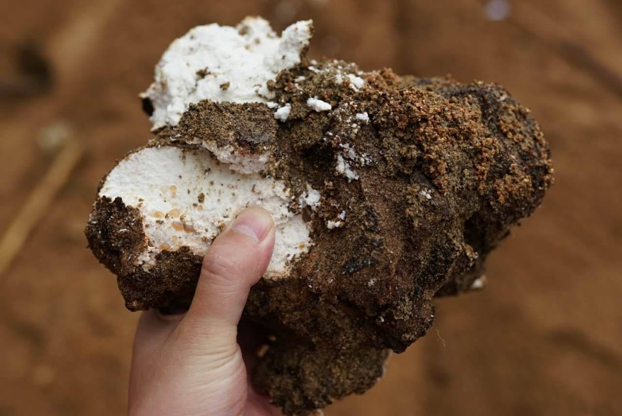 本身性|“男女”湿气重,一般身体有3个表现,多吃4物,排出黑臭湿毒