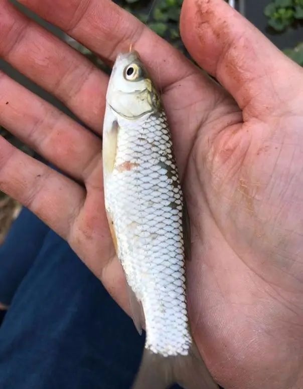 用小钩细线总是“缠子线”教你几招实用的，保证不打结不缠线