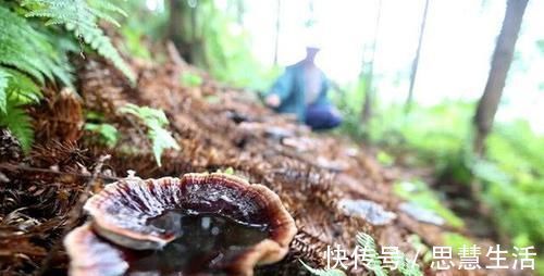 癌细胞|癌症到了晚期坚决不放弃,他带癌生存8年,告诉你抗癌经验