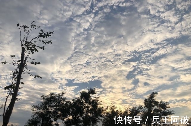 偶数|啥是“公伏头”和“母伏头”，今年是公伏还是母伏？何时入伏？