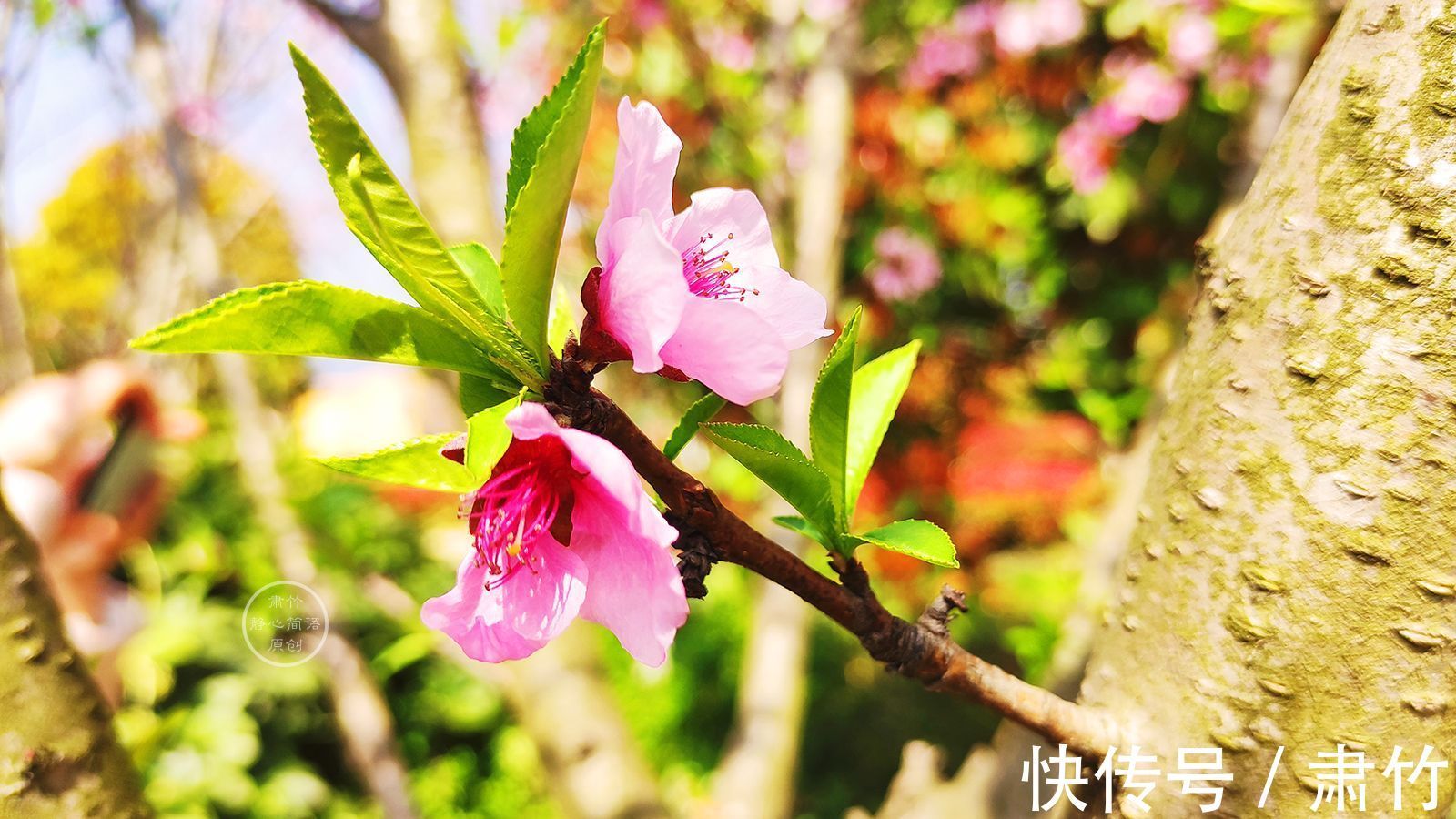 邂逅@一次无意的邂逅,便有了一段爱情