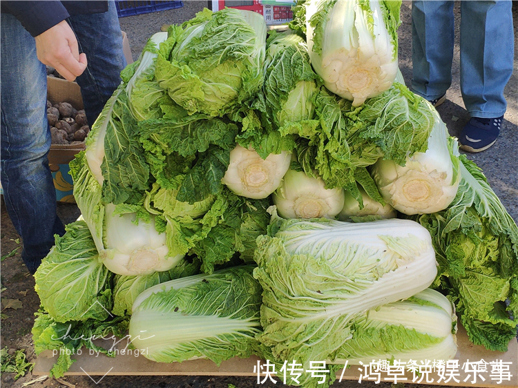 大白菜|8种可长时间保存的食物,若不能出门,家里备着点,生活不受影响