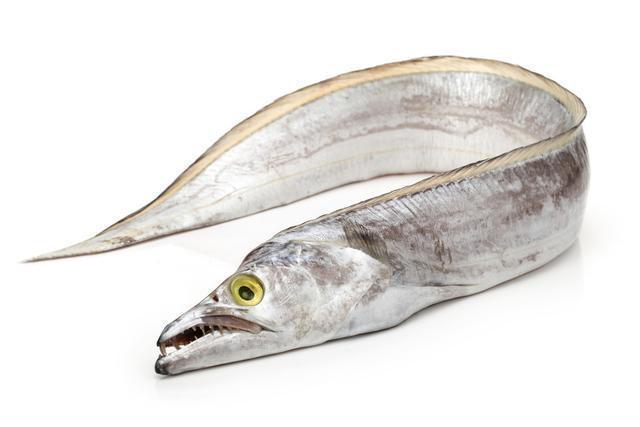 最常见的50种食用鱼,别再说你不认识,好好看看,你认识几种