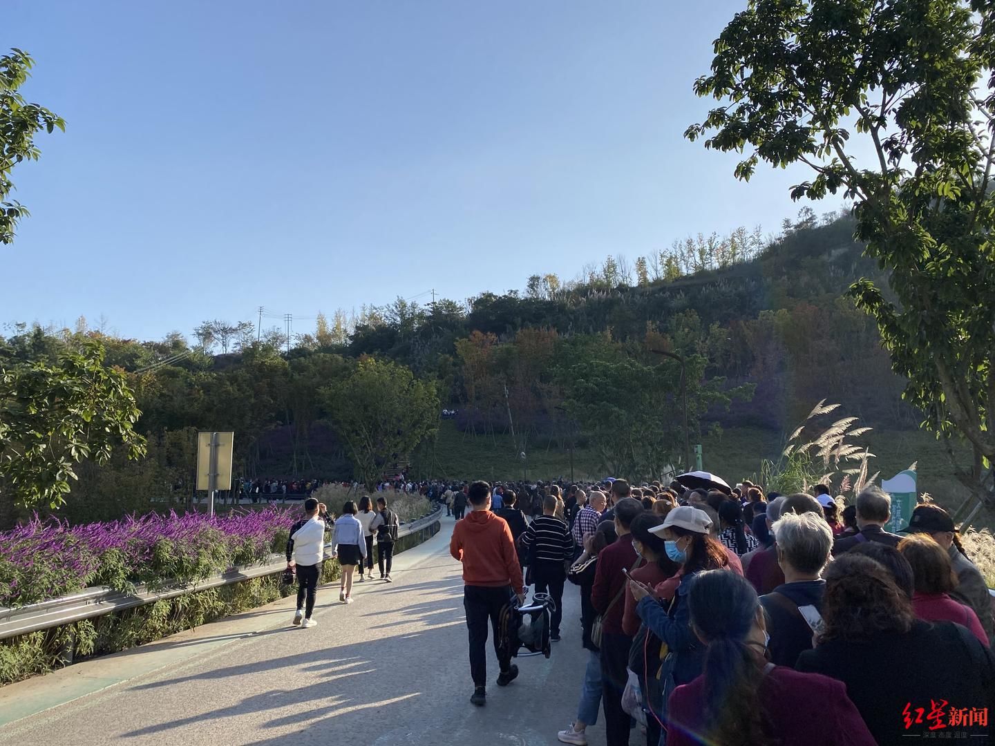 大年初一就堵车！成都近郊多个景区游客数达接待上限，催生“酒店热”“民宿热”