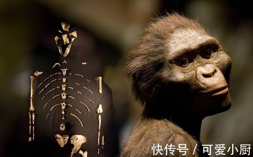 米歇@高中学历园丁写的科幻小说,坚称是亲身经历,大谈人类起源