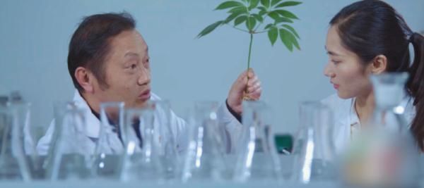 北回归线|文山三七宣传片——《时光里的三七》