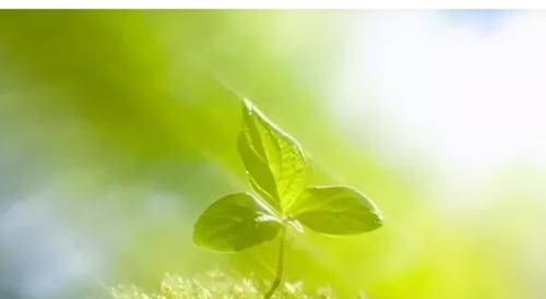 黄金时间|一天干这三件“大事”，健康养生事半功倍！每天这样做才叫养生