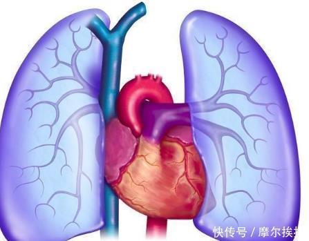慢慢|肺不好的人，最好多吃此3种水果，可帮你慢慢养好“肺”