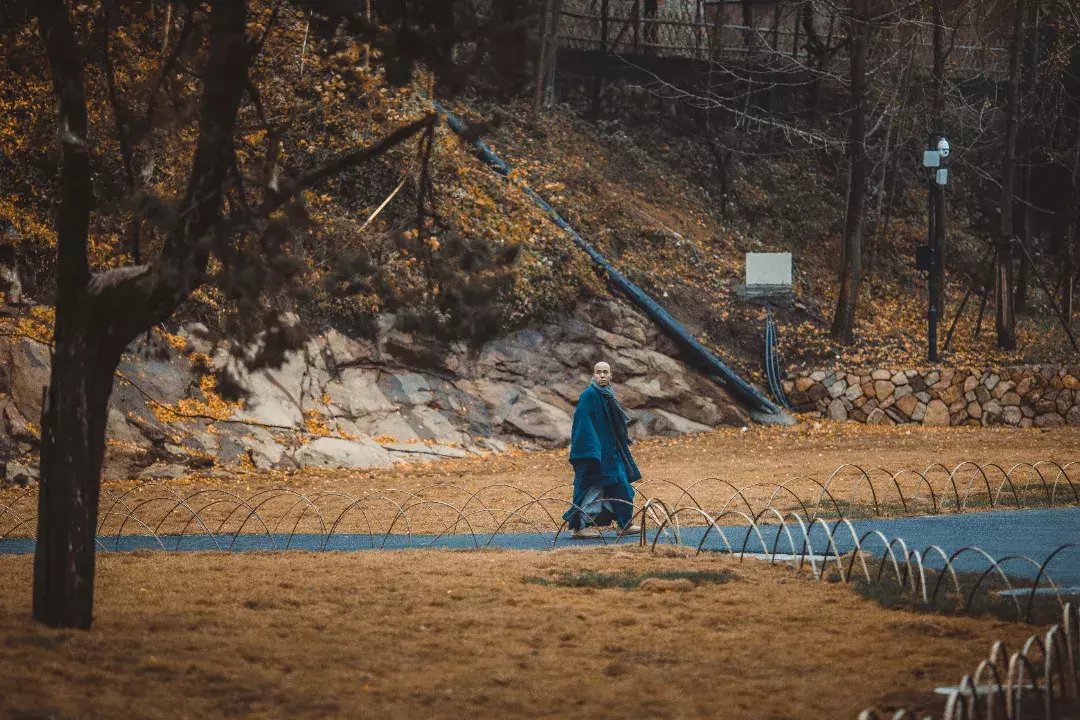 径山寺|金秋十月将至，这份余杭赏秋地图请收好！随手一拍都是大片！