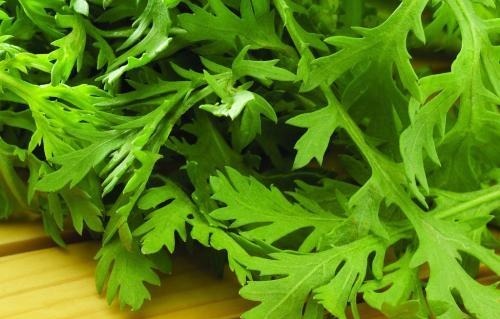 为何大家从来都不吃芹菜叶是太脏了,还是没营养告诉你原因