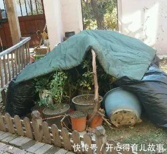 10种花，一降温就黄叶，赶紧换个地方养