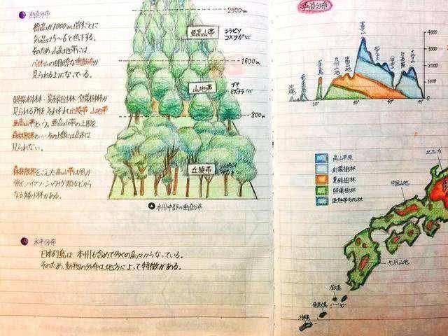 不会“画画”的学霸不是好学霸看到这些学霸笔记，网友我怯了