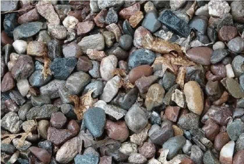 老年性痴呆|新痴呆测试在石头中混进了一只青蛙，有人找了15分钟愣是找不到