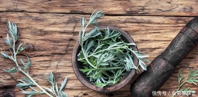 几块钱的艾草堪比神仙草！巧用艾草，越活越健康