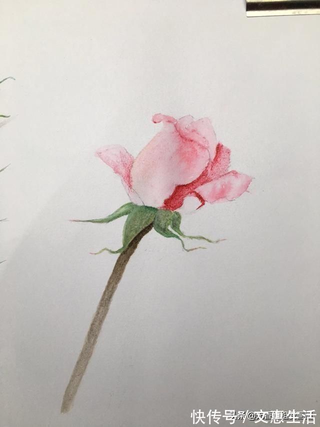 玫瑰花!手绘逼真的玫瑰花,只要四步就能学会,快来看看吧