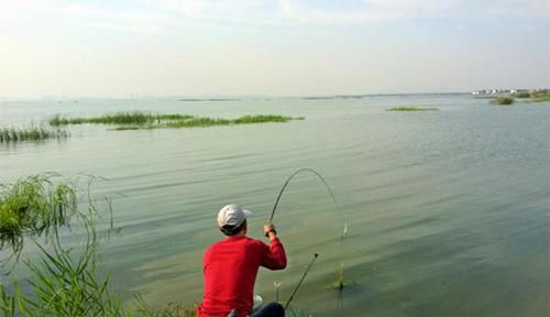 清明过后鲫鱼应该这样钓，几个常用老套路，让你轻松钓到的大鲫鱼