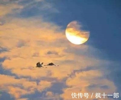 友人$王维 送友人南归