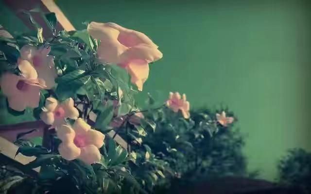 孩子|为人父母，千万不要穷养孩子，不然会留有一生遗憾