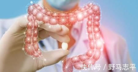 垃圾食品|不论男女,每天2个时间“大便”的人,恭喜寿命可能会比别人长