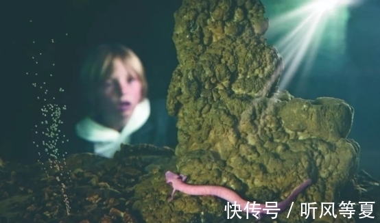 洞穴&营川坠龙事件、婆罗洲游龙事件,这些事件能证明龙的存在吗?