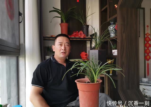 夏天|夏天如何管理兰花，才能确保不会烂根？这3点非常重要