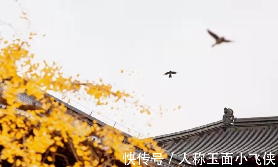 李清照$诗词:细品生活多滋味,此后快活似神仙