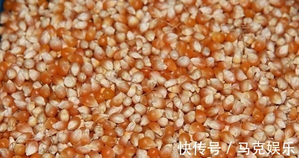 黄豆芽|想长寿全靠吃,3种食物离不开,促进代谢,预防便秘