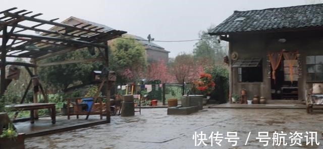 宠物|向往的生活嘉宾们惬意干净的农村生活,还有你没看到的另一面