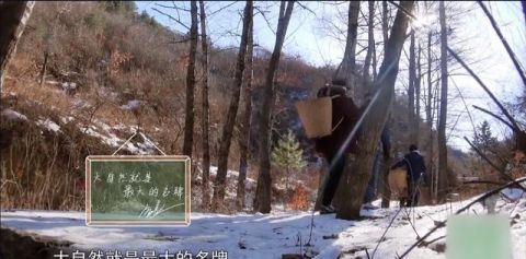 周迅夠特別，錄《向往4》換了5套造型，穿4萬(wàn)多大牌外套干農(nóng)活