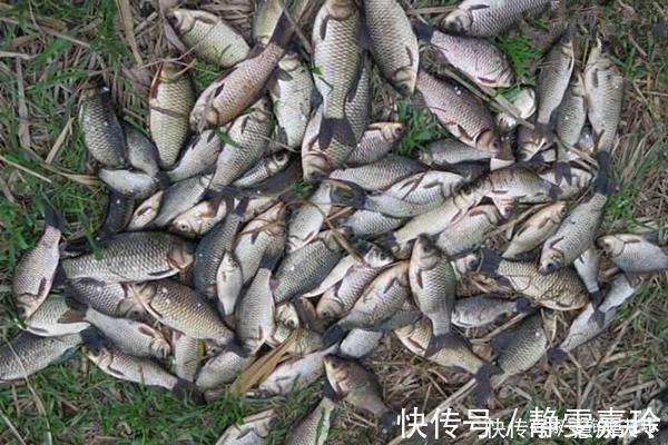 冬钓大鲫鱼,钓深还是钓浅天冷要找这种地方,鲫鱼在这里扎堆