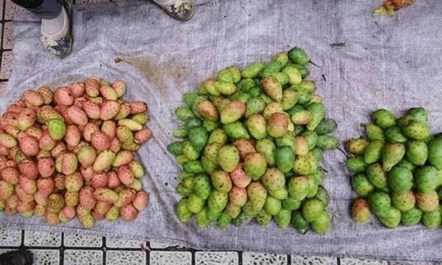 仙人掌果|农村山上经常出现的果实，城里人很多都没见过，你知道它是啥吗