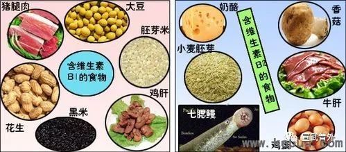 鱼肝油|维生素，就在你身边