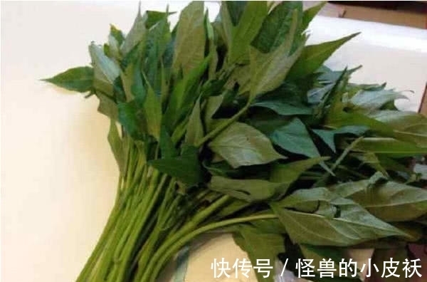 这四种稀有蔬菜,你都见过吗?吃过的请举手!