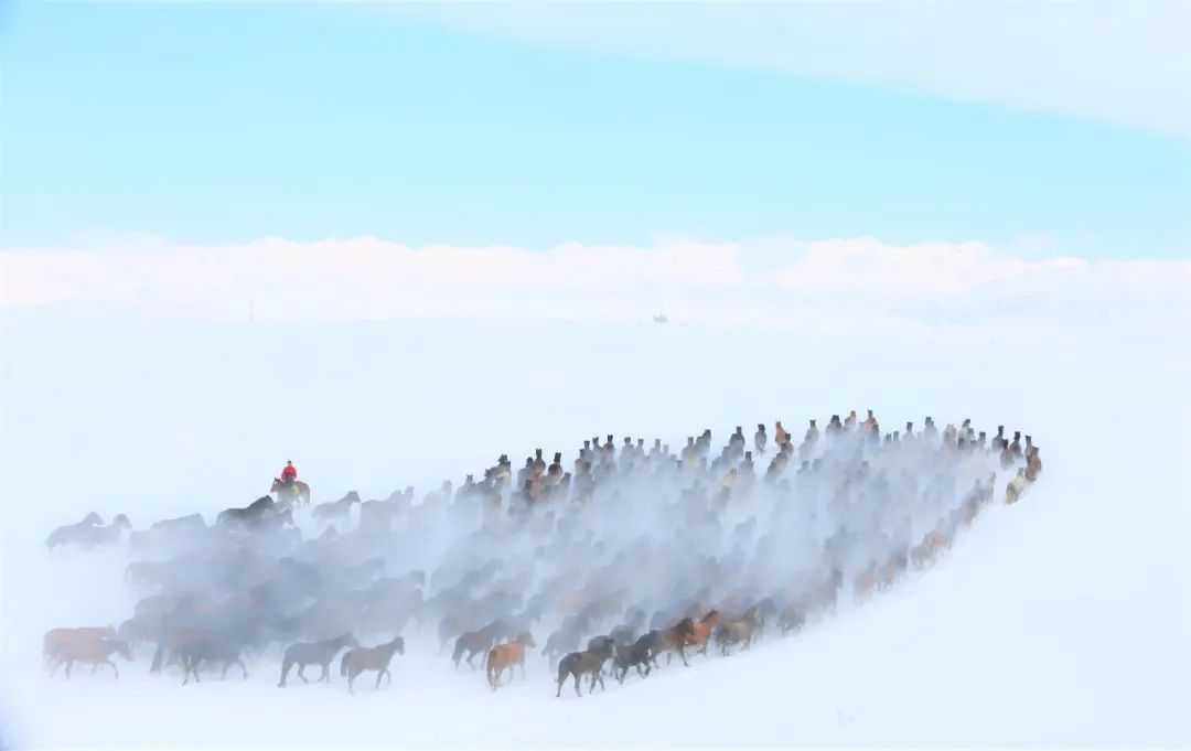 美景|冬日伊犁怎么玩 这里有不可错过的美景