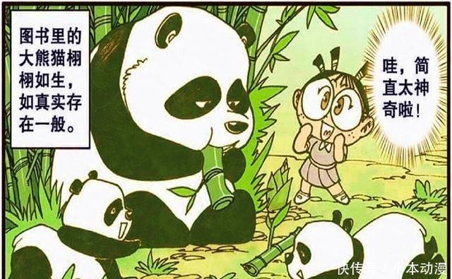 美梦成真!星太奇穿越“二维世界”实现三大梦想,但奋豆却落了空