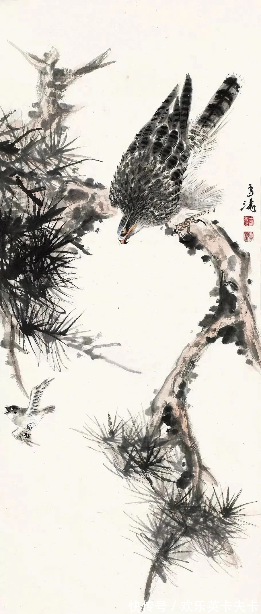 花鸟画!清俊靓丽|最具辨析度的中国画,王雪涛花鸟画