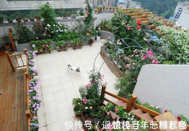 实用|为什么有钱人住顶楼不担心冬冷夏热?这样做实用又舒服,太聪明了