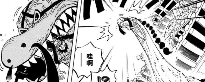 德雷克|海贼王贴吧版情报基德曾是大妈团的成员,马尔科被奎因打伤了