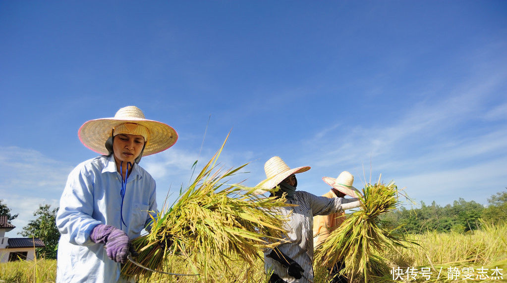 农村|俗语“闰四月,兆年荒”啥意思为何农村老人都不喜欢闰四月