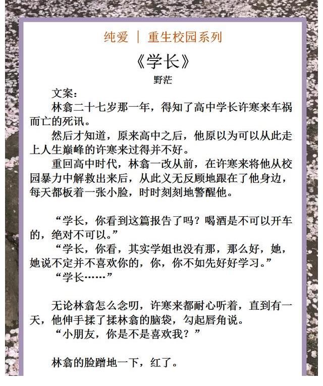 少年时代$纯爱｜重生校园系列，回到少年时代，从青葱岁月携手并进