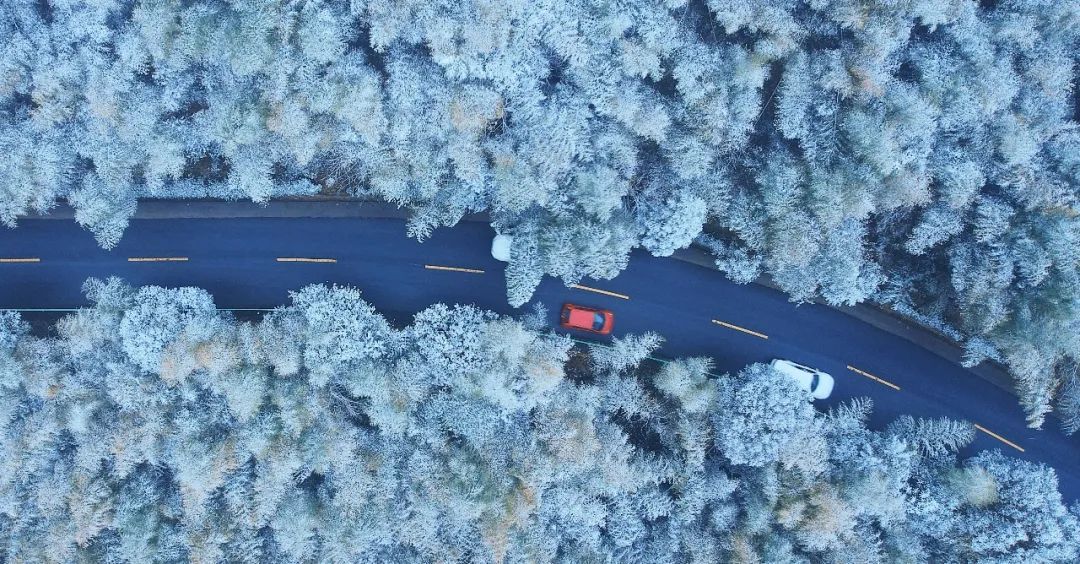 雪景|太美了！台州最新雪景！括苍山跌至-10℃，再现云海奇观（多图多视频）