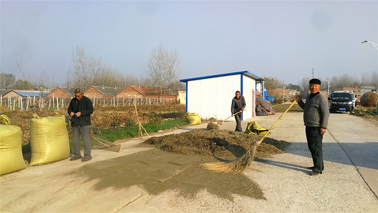 果实|农村有种“鬼不缠”的植物,是流落民间的中药材,小时候当暗器