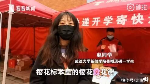 武大女生捡拾千片樱花送校友 弥补毕业季遗憾