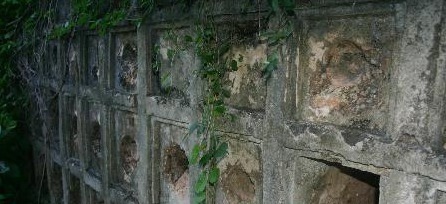 非洲#非洲挖出中国墓葬,当地人还自称中国人的后代,学者道出真相!