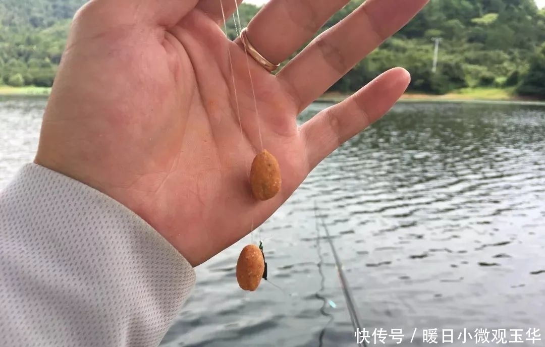 饵料|窝中来了大鱼，这几个坏习惯要改改，否则再好的饵料也白费！