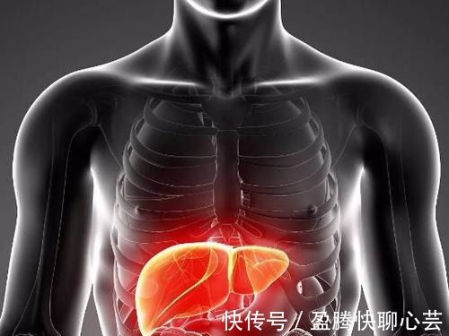 李兰娟|豆浆是肝病的“发物”吗?院士李兰娟:若想肝好,四类食物要少碰