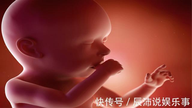 胎动|原来孕期从这个月开始,胎儿性格就能看出来了,孕妈你是哪一款?
