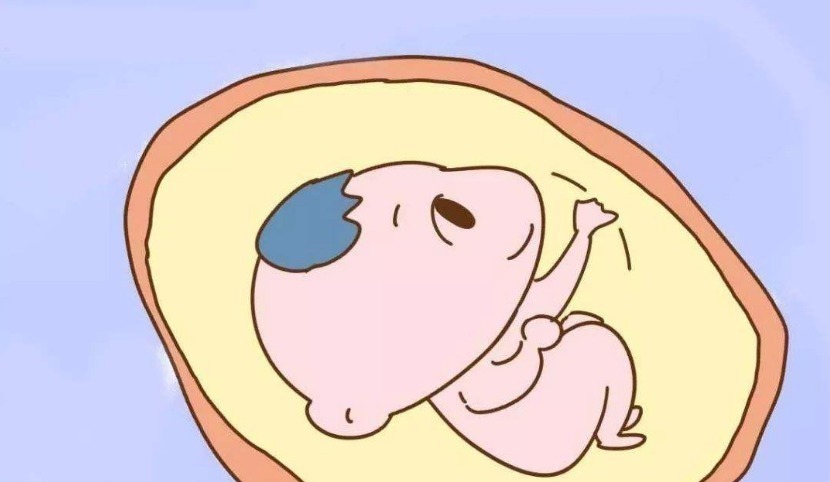 小张|为什么有些孕妇从不“呕吐”产科医生说,实际上与胎儿有很大关系