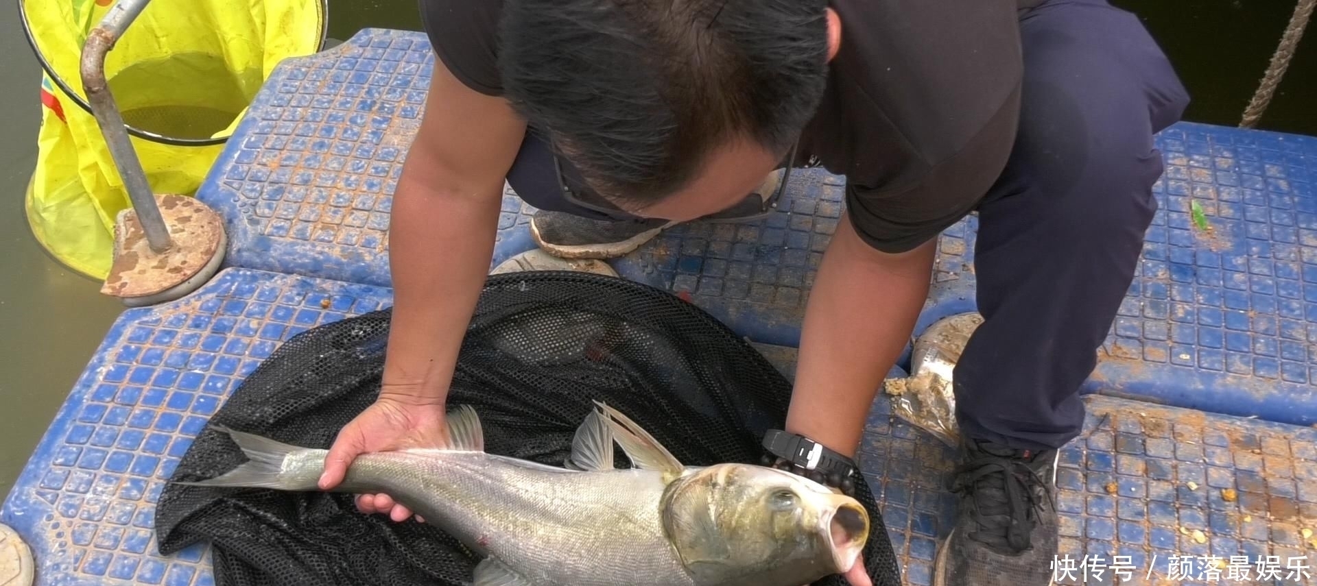 出门|天气大热,出门钓鱼让你爽到爆的秘密哦!手竿——鲢鳙窝料篇